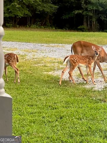 265 Evans Drive, Buchanan, GA 30113