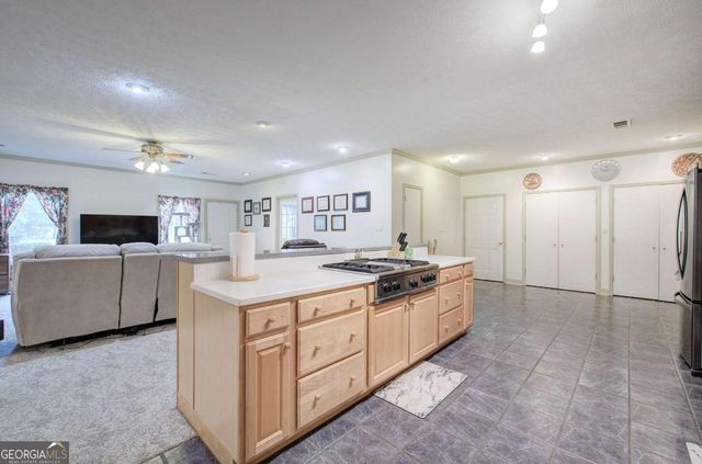 265 Evans Drive, Buchanan, GA 30113