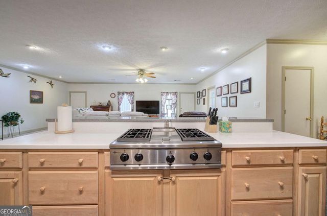 265 Evans Drive, Buchanan, GA 30113