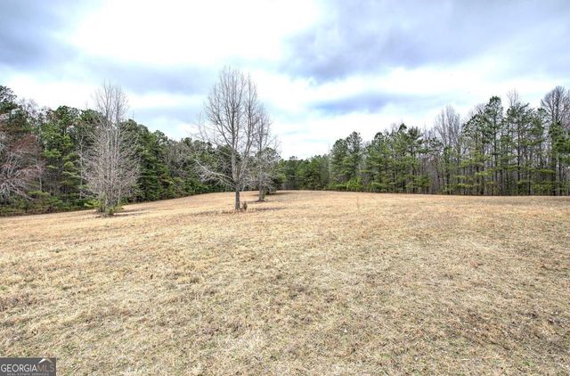 265 Evans Drive, Buchanan, GA 30113