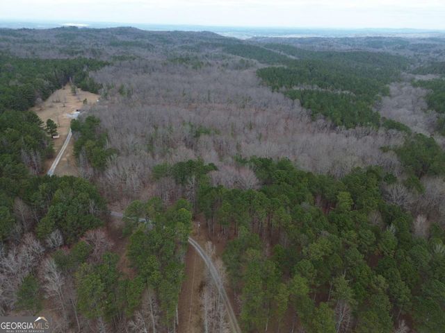 265 Evans Drive, Buchanan, GA 30113