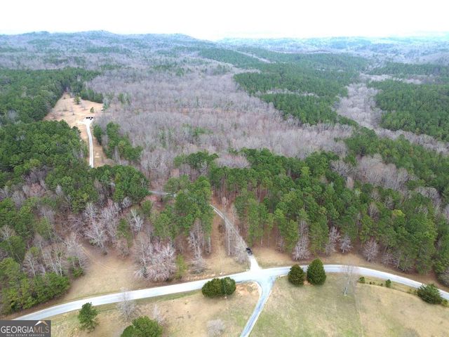 265 Evans Drive, Buchanan, GA 30113