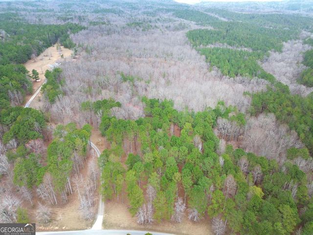 265 Evans Drive, Buchanan, GA 30113