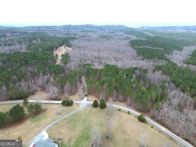 265 Evans Drive, Buchanan, GA 30113