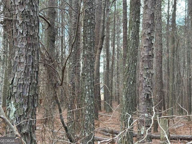 265 Evans Drive, Buchanan, GA 30113