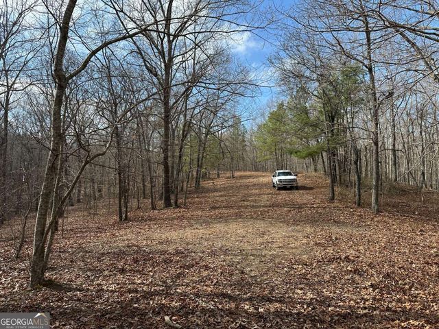 265 Evans Drive, Buchanan, GA 30113