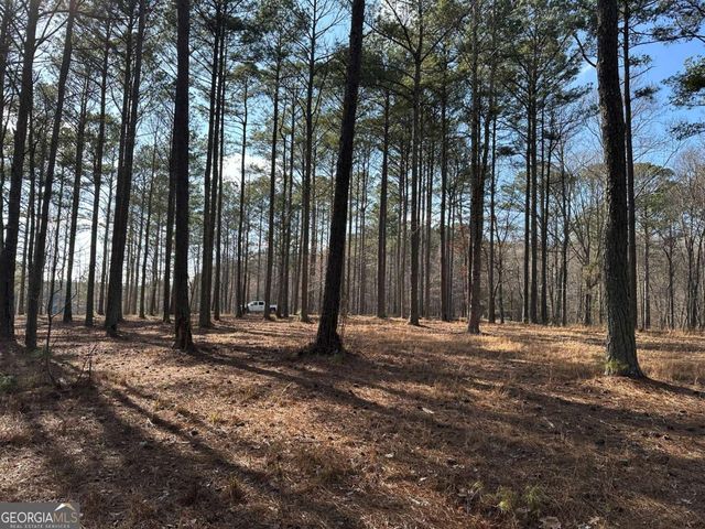 265 Evans Drive, Buchanan, GA 30113