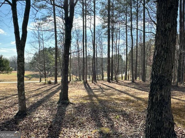 265 Evans Drive, Buchanan, GA 30113