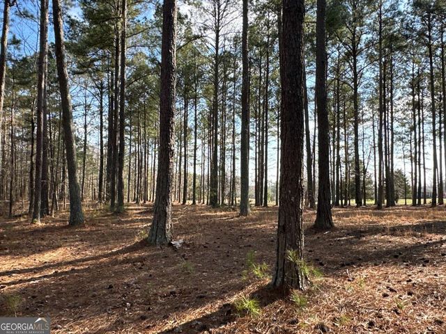 265 Evans Drive, Buchanan, GA 30113