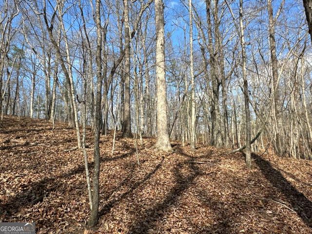 265 Evans Drive, Buchanan, GA 30113