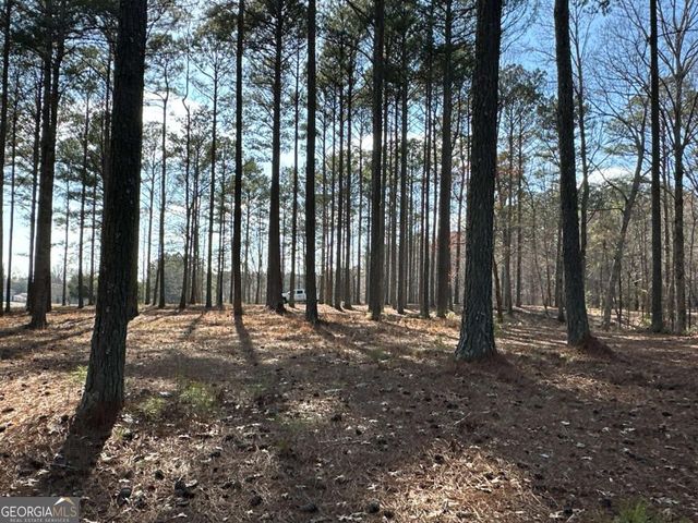 265 Evans Drive, Buchanan, GA 30113