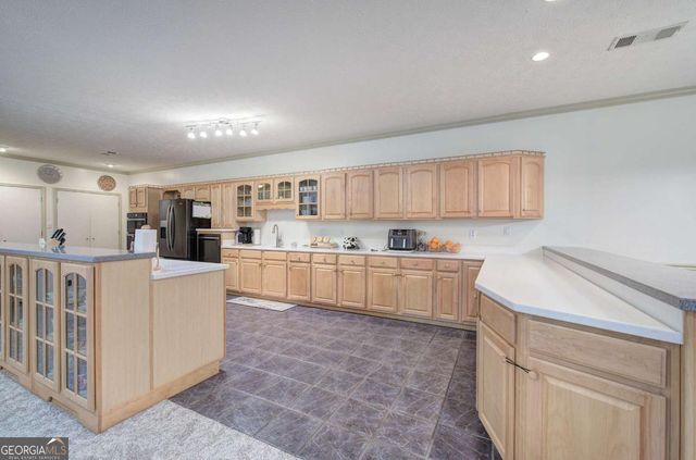 265 Evans Drive, Buchanan, GA 30113