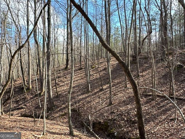 265 Evans Drive, Buchanan, GA 30113