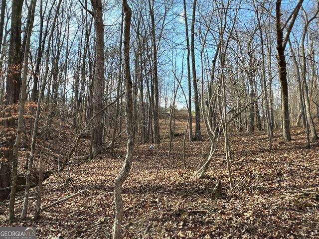 265 Evans Drive, Buchanan, GA 30113