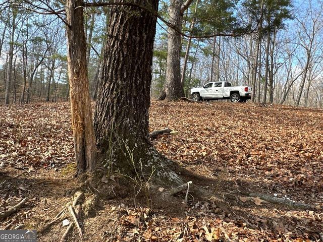 265 Evans Drive, Buchanan, GA 30113