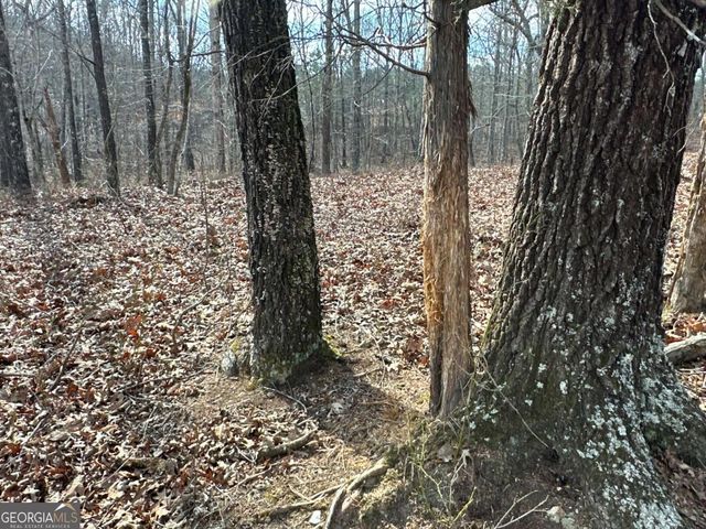 265 Evans Drive, Buchanan, GA 30113