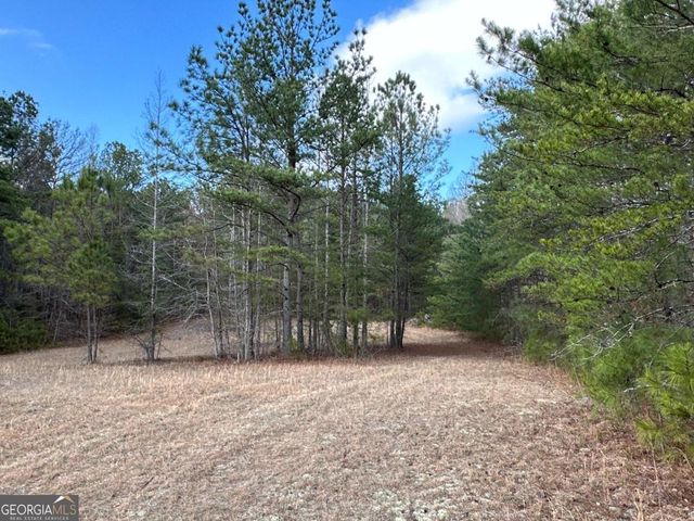 265 Evans Drive, Buchanan, GA 30113