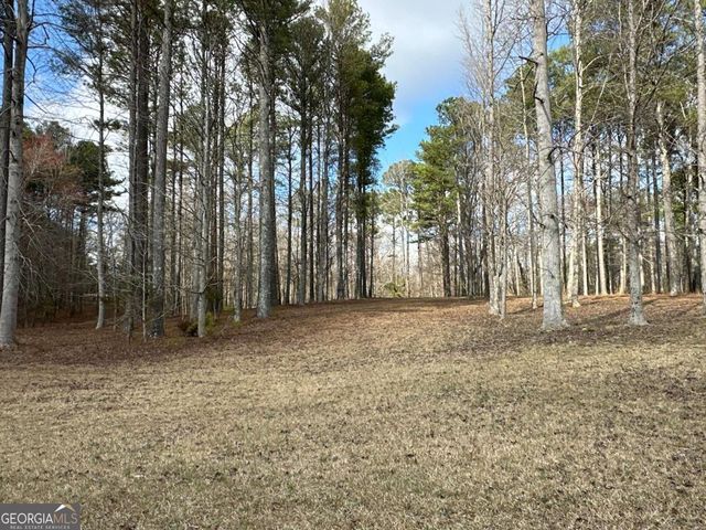 265 Evans Drive, Buchanan, GA 30113