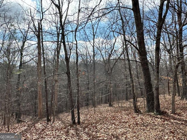 265 Evans Drive, Buchanan, GA 30113