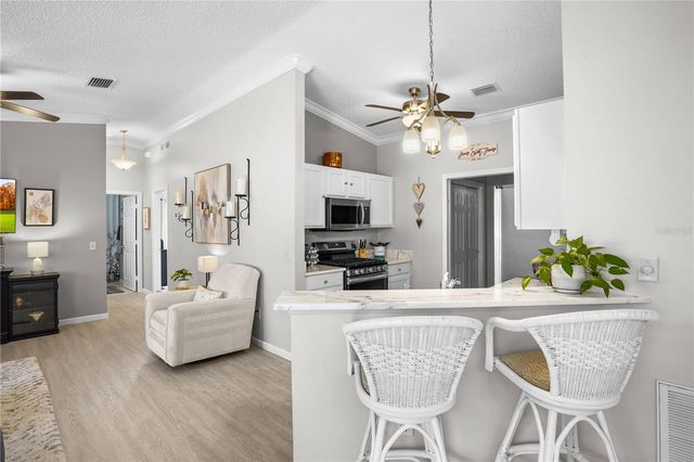 433 CANTERBURY COURT, The Villages, FL 32162