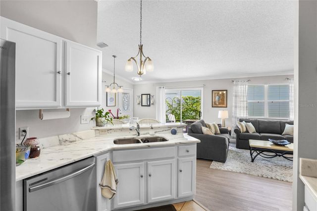 433 CANTERBURY COURT, The Villages, FL 32162