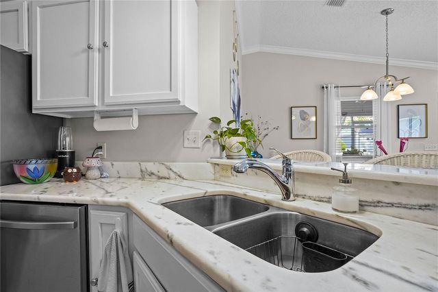 433 CANTERBURY COURT, The Villages, FL 32162