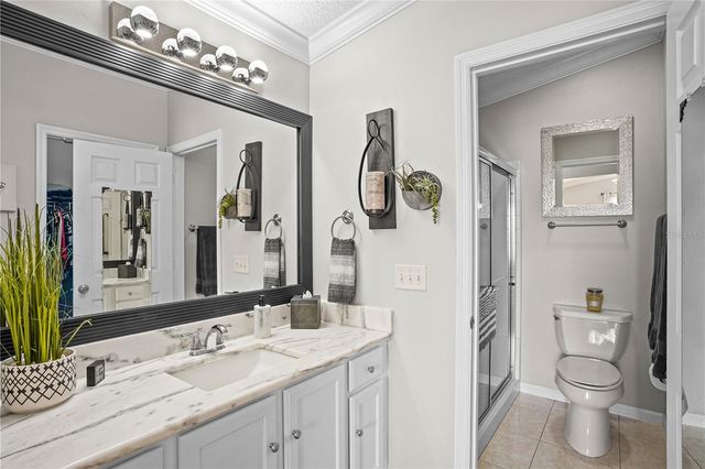 433 CANTERBURY COURT, The Villages, FL 32162