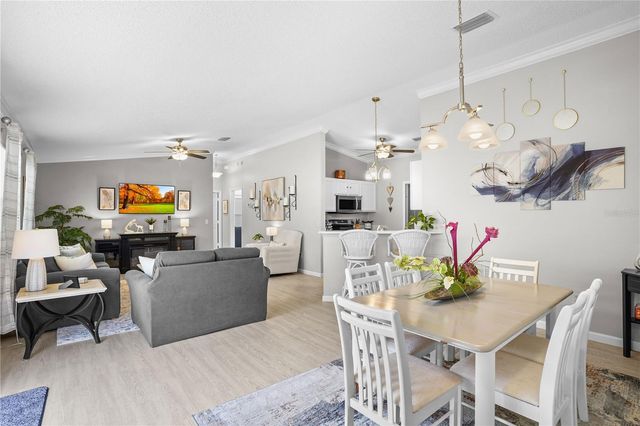 433 CANTERBURY COURT, The Villages, FL 32162
