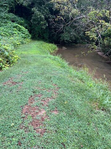5 Bryson Branch Road, Clayton, GA 30525