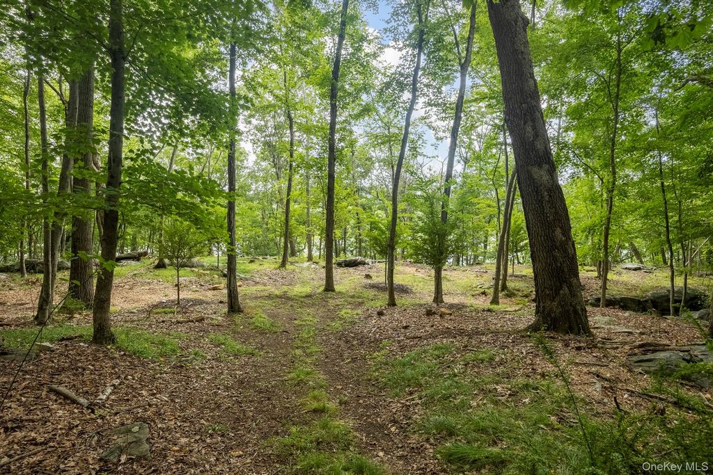 47 Rock Road N, Carmel, NY 10512 — photo 4