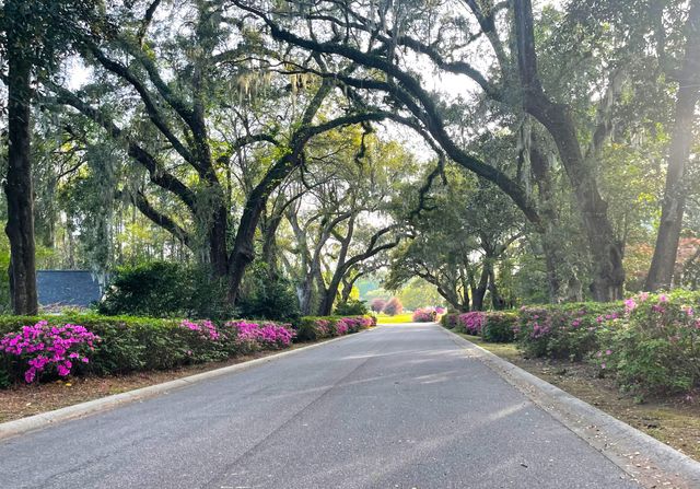 642 Fair Spring Drive, Charleston, SC 29414