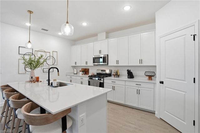 20428 Verawood LOOP, Estero, FL 33928