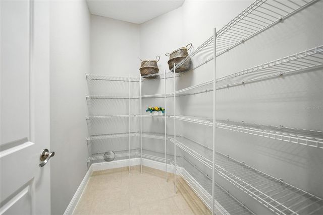 2495 OAKWOOD PRESERVE DRIVE, Wesley Chapel, FL 33543