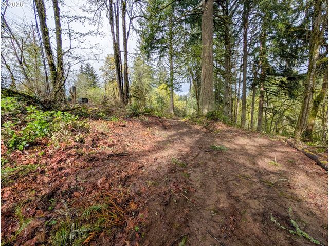0 Ne FINALBURG Rd, La Center, WA 98629