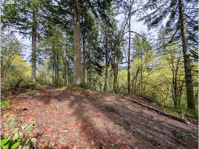 0 Ne FINALBURG Rd, La Center, WA 98629