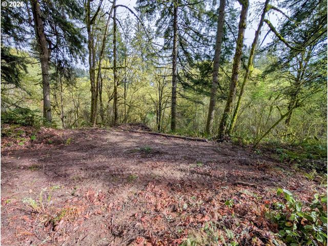 0 Ne FINALBURG Rd, La Center, WA 98629
