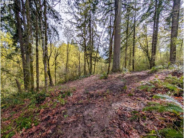 0 Ne FINALBURG Rd, La Center, WA 98629