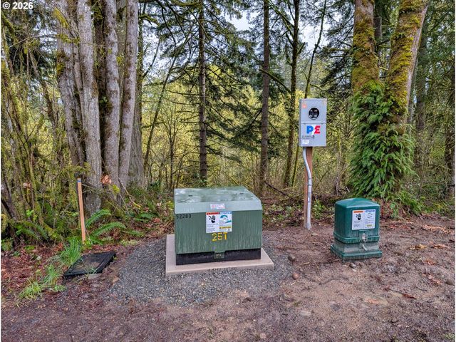 0 Ne FINALBURG Rd, La Center, WA 98629