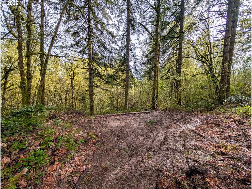 0 Ne FINALBURG Rd, La Center, WA 98629