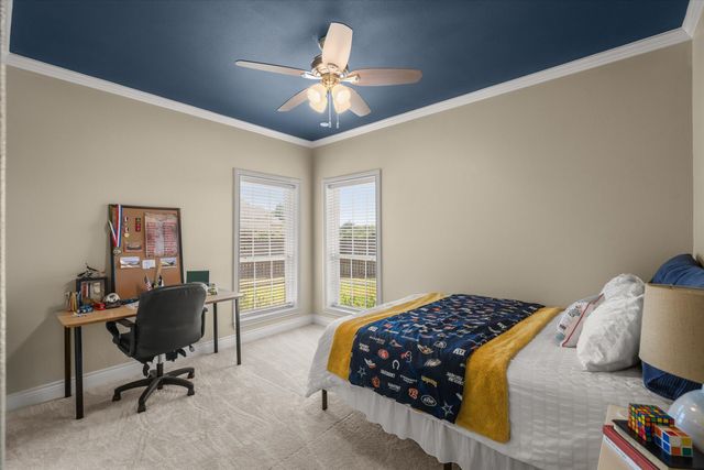 117 Lake Meadow Boulevard, Canton, TX 75103