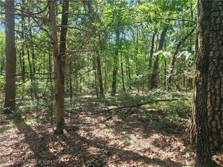 TBD N State Hwy 217 Highway, Charleston, AR 72933
