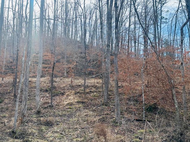 780 Shib Branch Road, Manchester, KY 40962