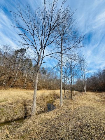 780 Shib Branch Road, Manchester, KY 40962