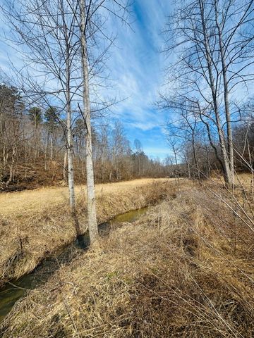 780 Shib Branch Road, Manchester, KY 40962