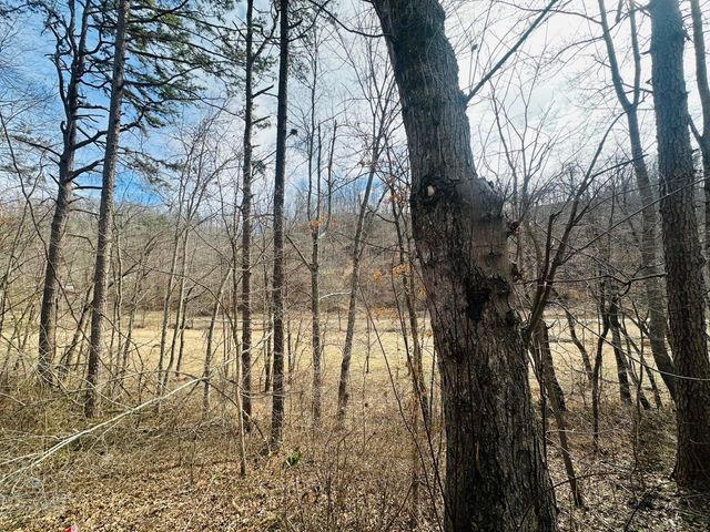 780 Shib Branch Road, Manchester, KY 40962