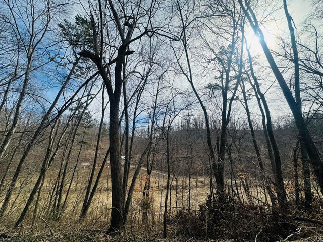 780 Shib Branch Road, Manchester, KY 40962