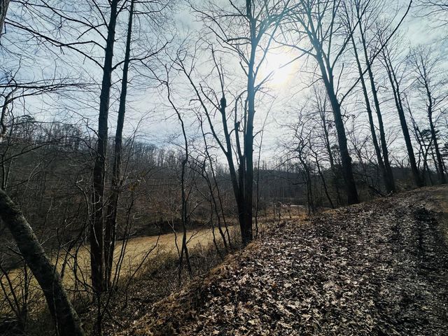 780 Shib Branch Road, Manchester, KY 40962