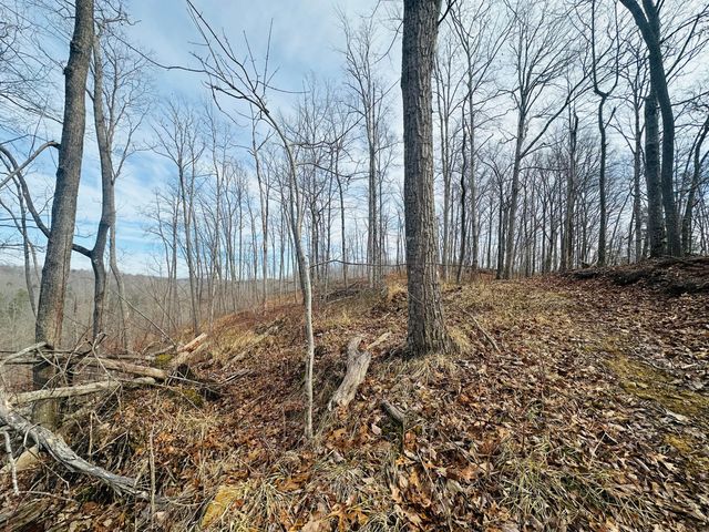 780 Shib Branch Road, Manchester, KY 40962