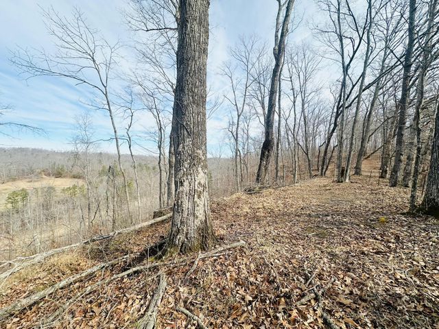 780 Shib Branch Road, Manchester, KY 40962