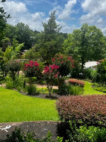 17811 S Blue Heron Circle, Montgomery, TX 77316